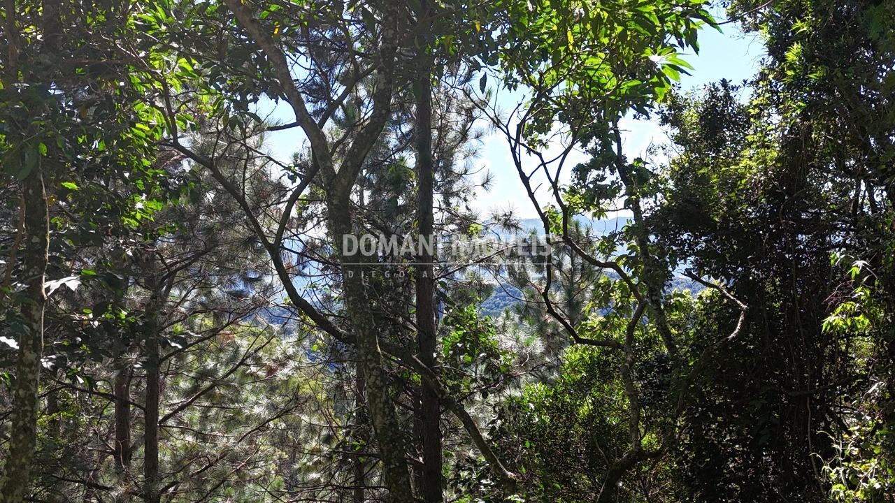 Terreno, 1030 m² - Foto 8