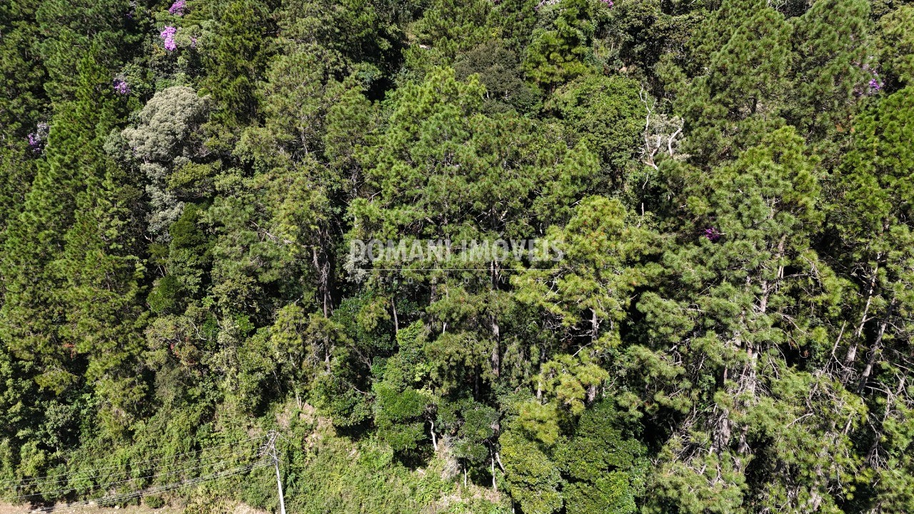 Terreno, 1200 m² - Foto 7