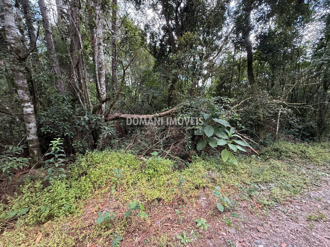 Terreno, 1357 m² - Foto 10