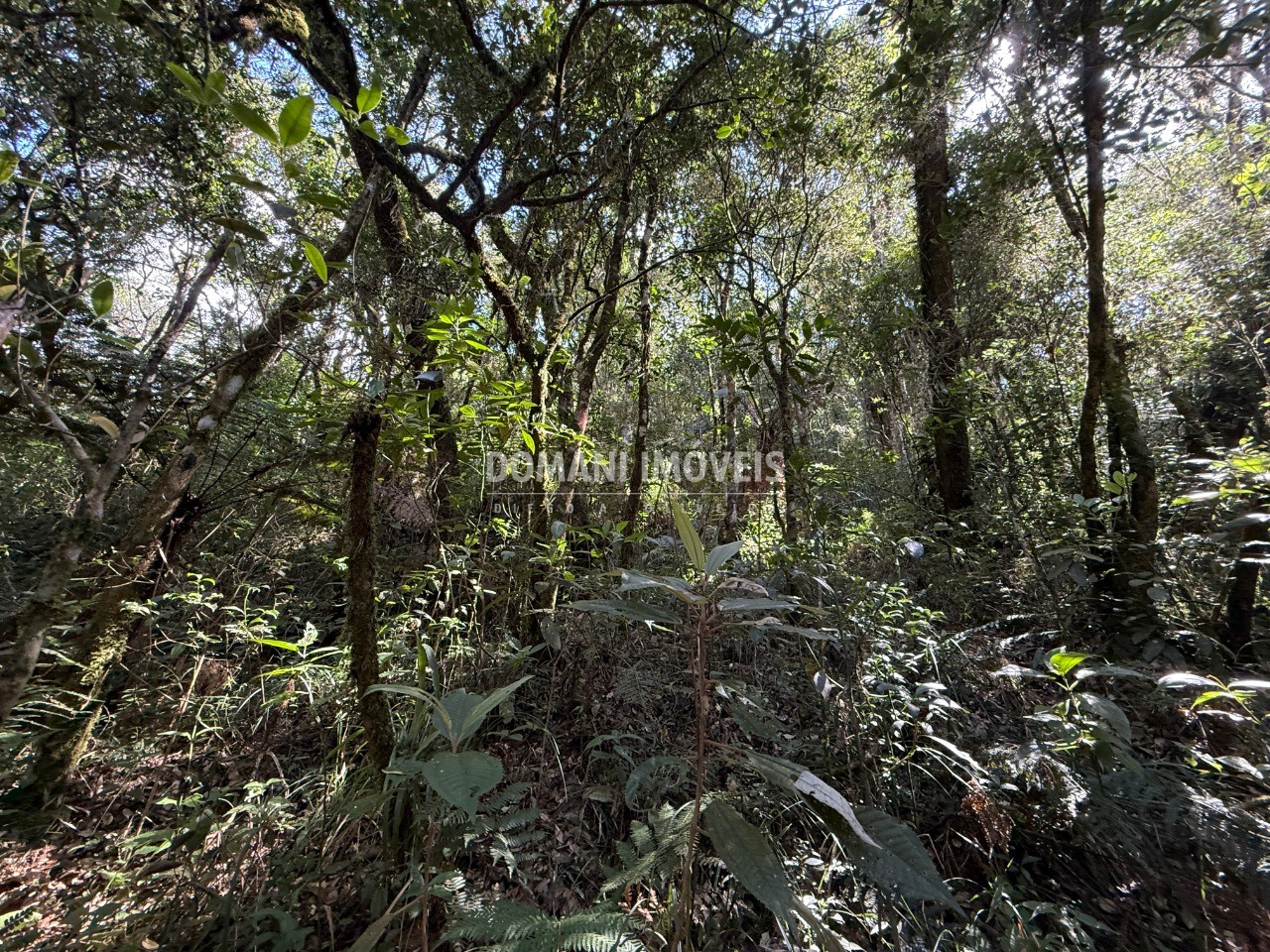 Terreno, 2500 m² - Foto 29
