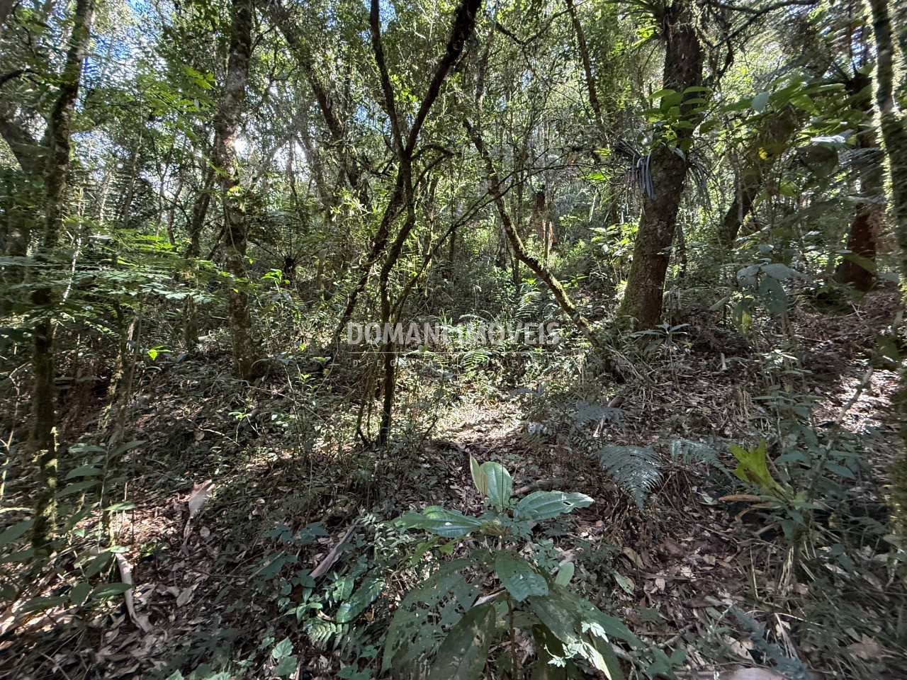 Terreno, 2500 m² - Foto 26