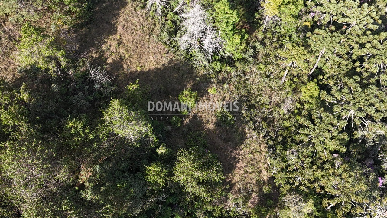 Terreno, 1185 m² - Foto 11