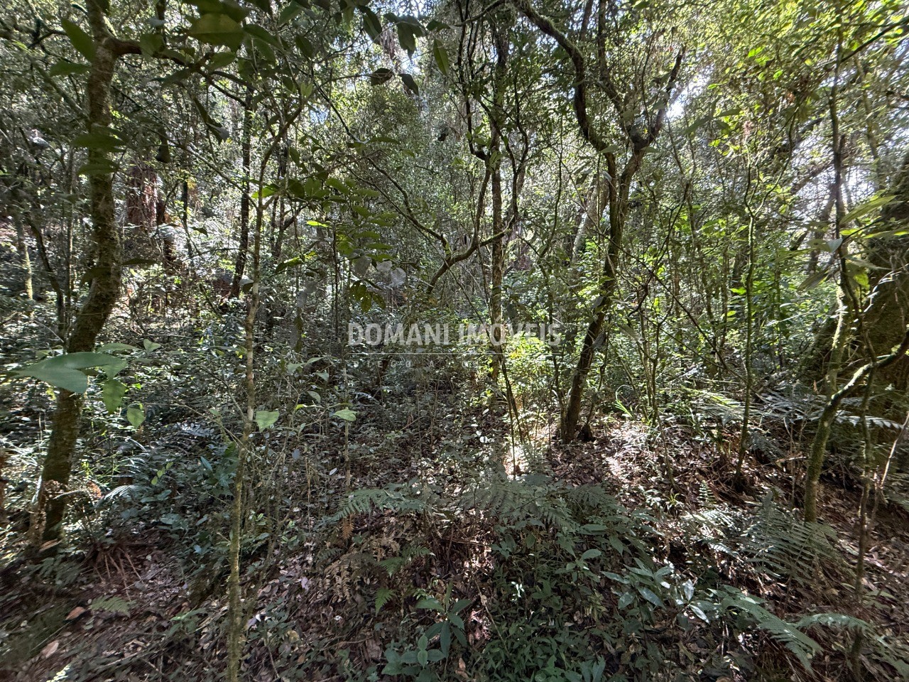 Terreno, 2500 m² - Foto 23