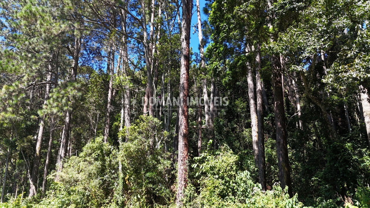 Terreno, 1550 m² - Foto 19