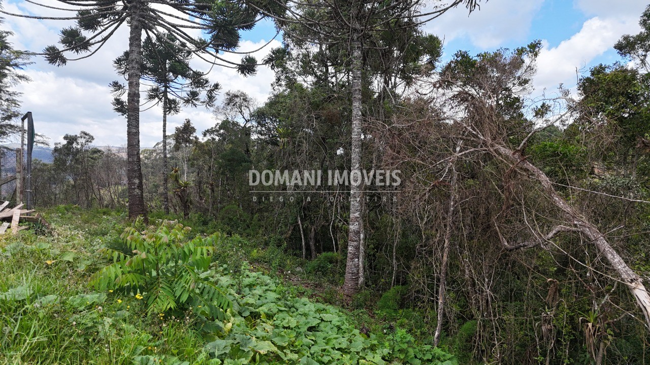 Terreno, 1180 m² - Foto 23
