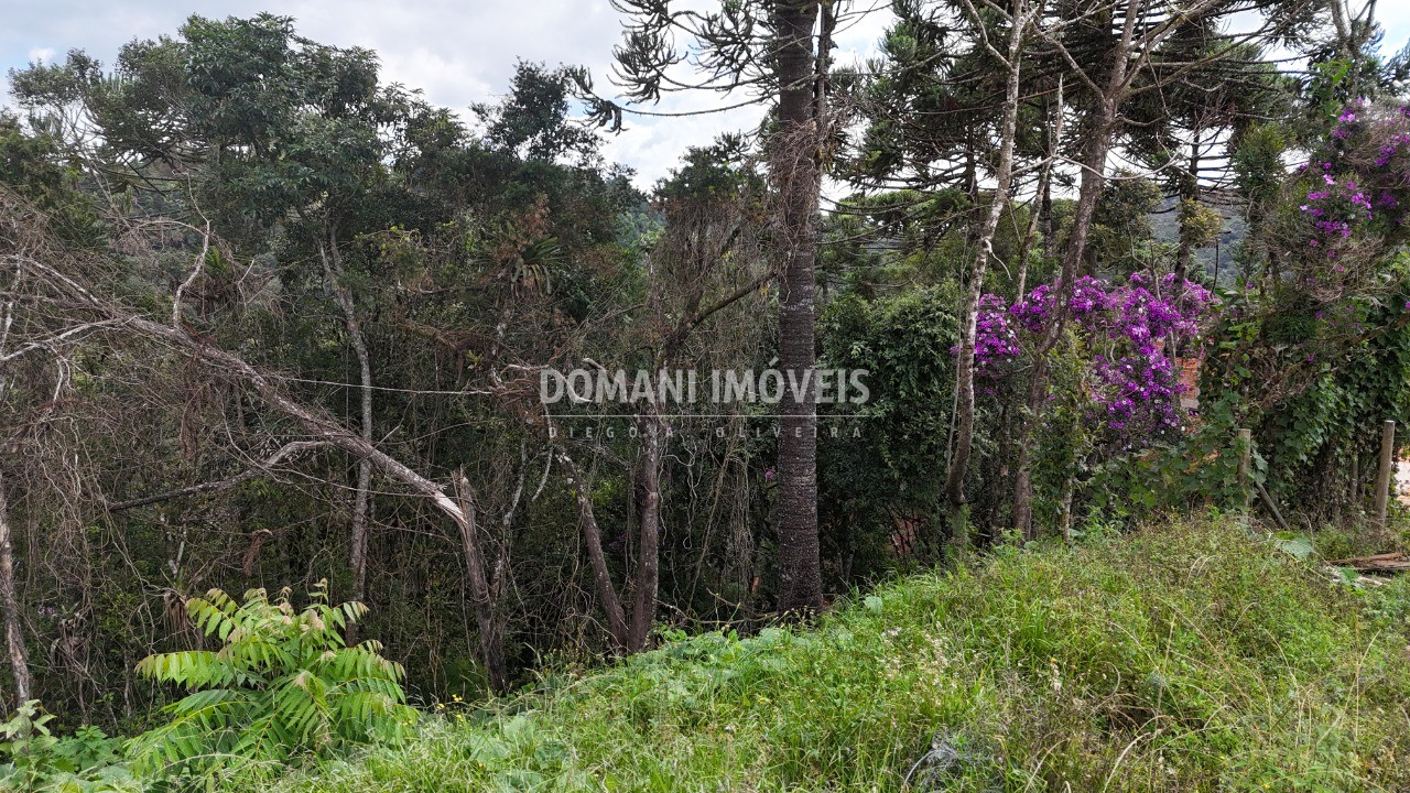 Terreno, 1180 m² - Foto 2
