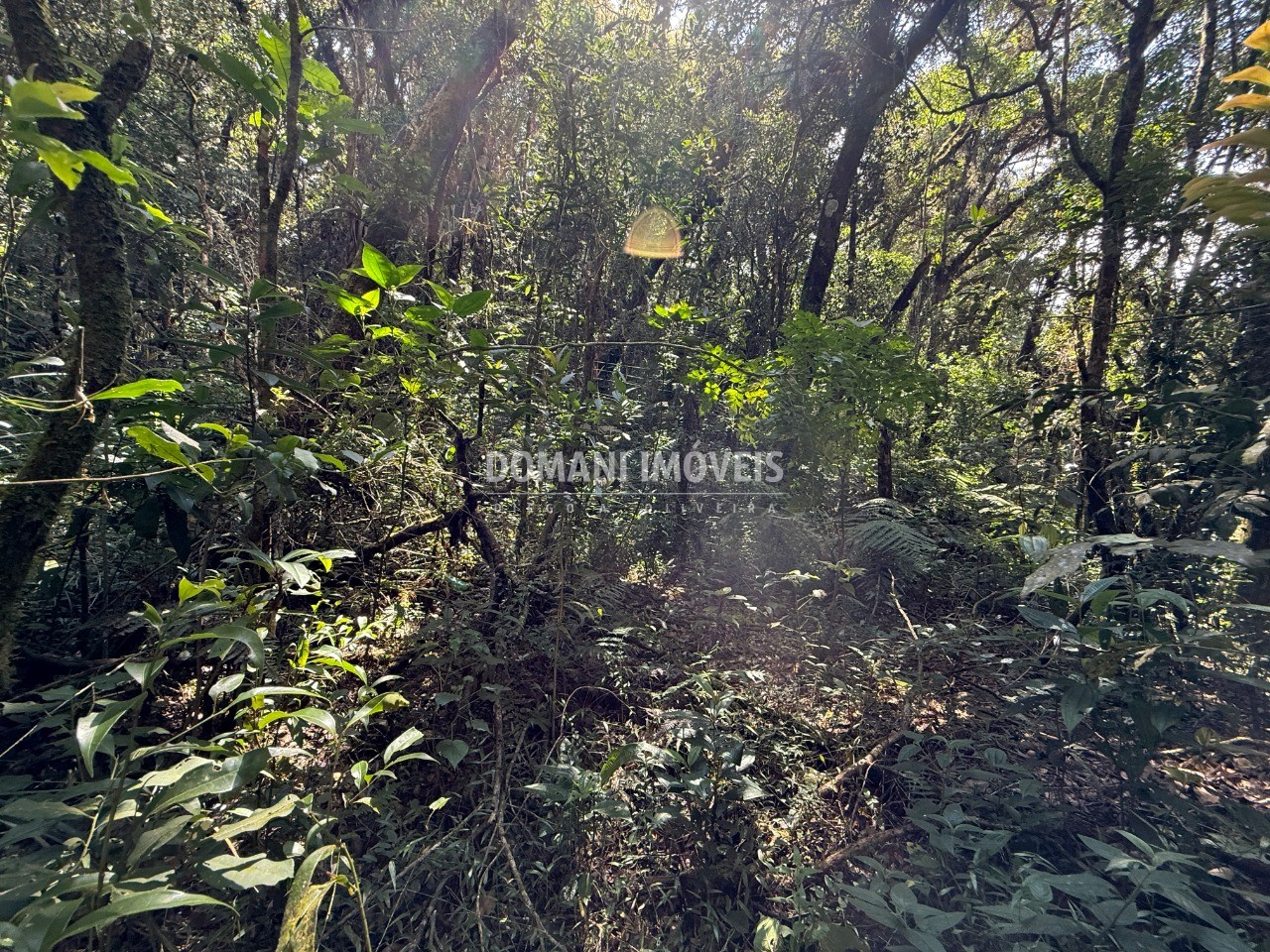 Terreno, 2500 m² - Foto 37