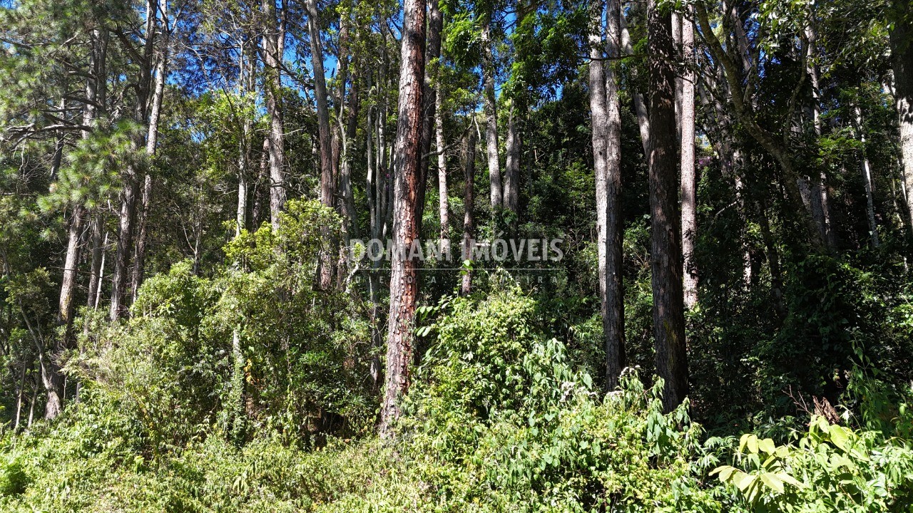 Terreno - Foto 4