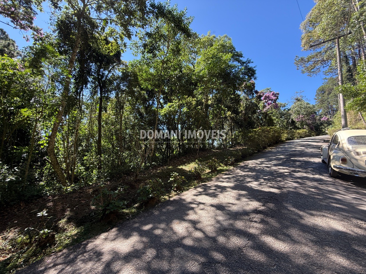 Terreno, 1550 m² - Foto 6