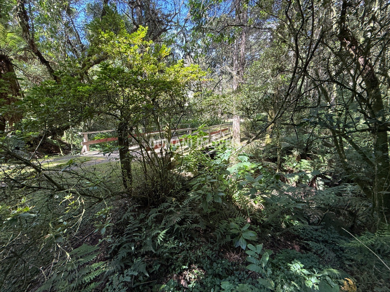 Terreno, 2500 m² - Foto 39