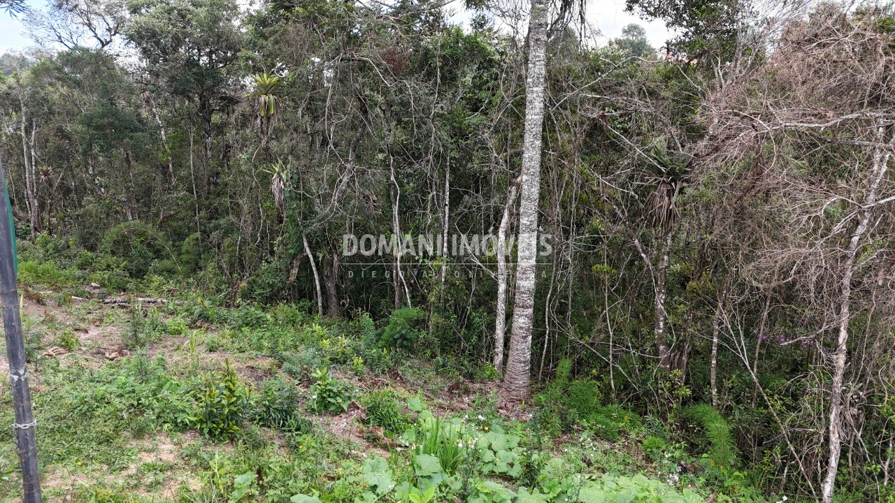 Terreno, 1180 m² - Foto 19