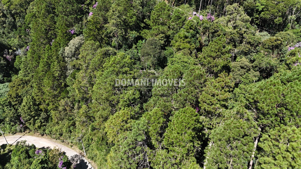 Terreno, 1200 m² - Foto 15