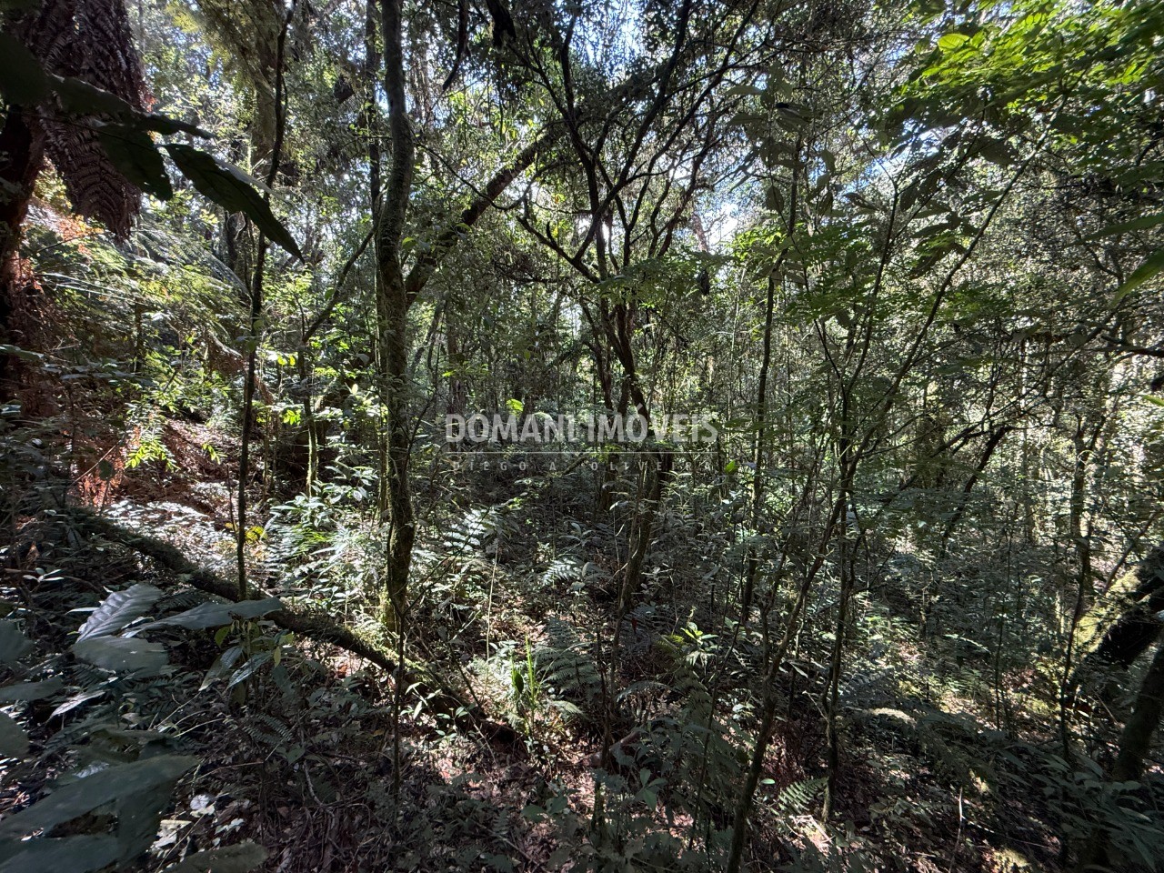Terreno, 2500 m² - Foto 31