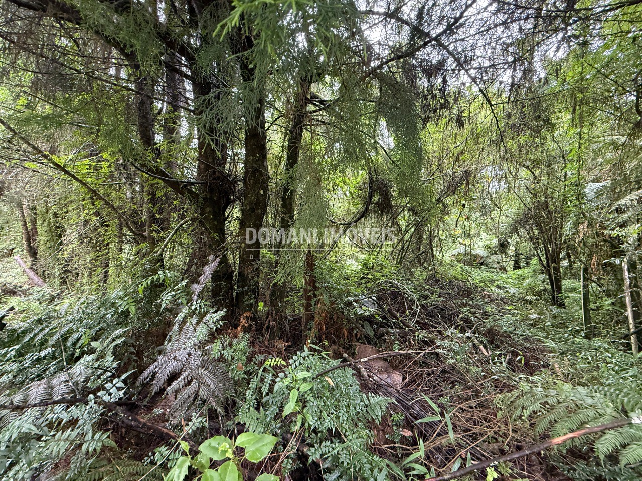 Terreno, 1140 m² - Foto 17