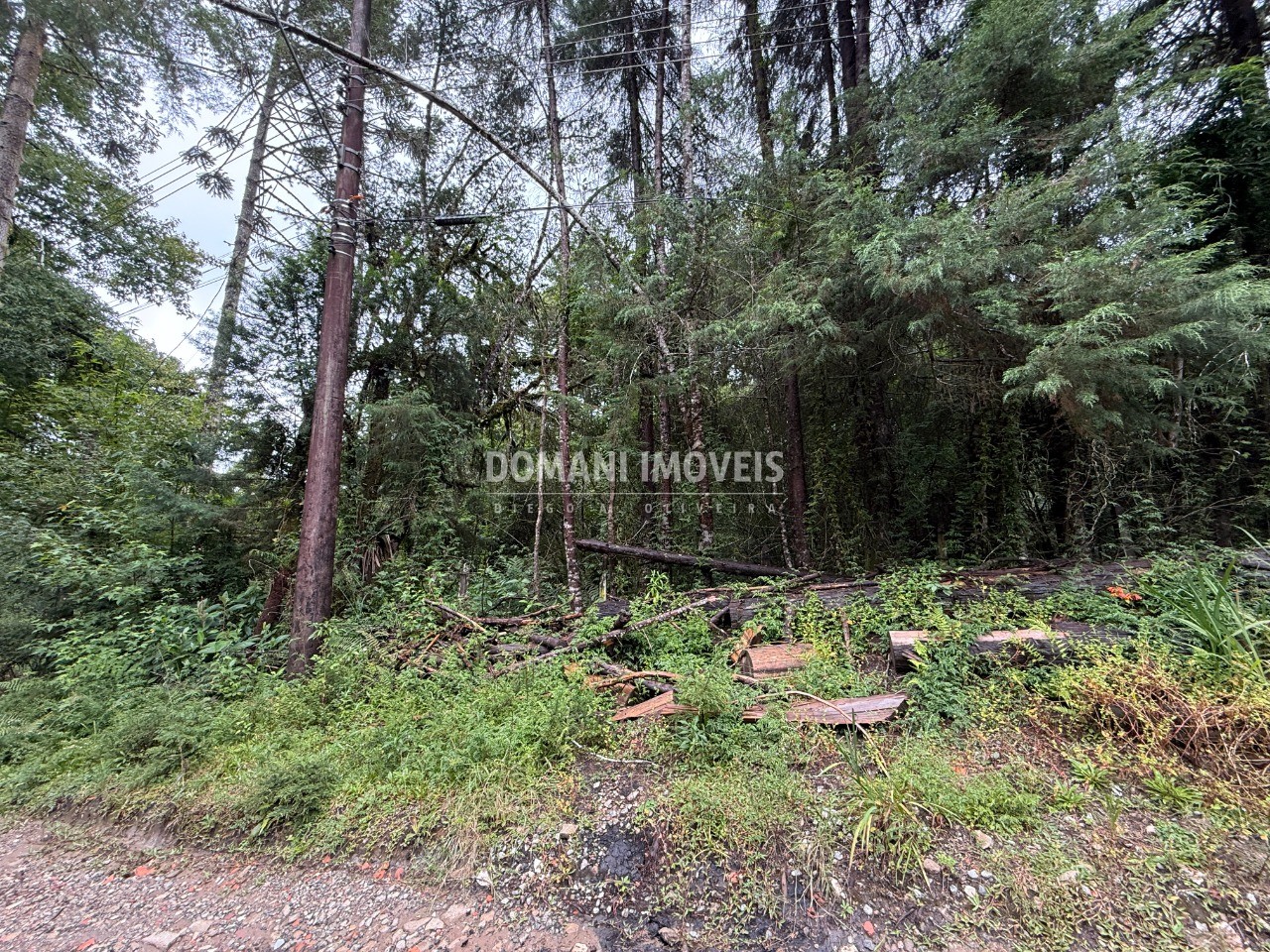 Terreno, 1140 m² - Foto 15