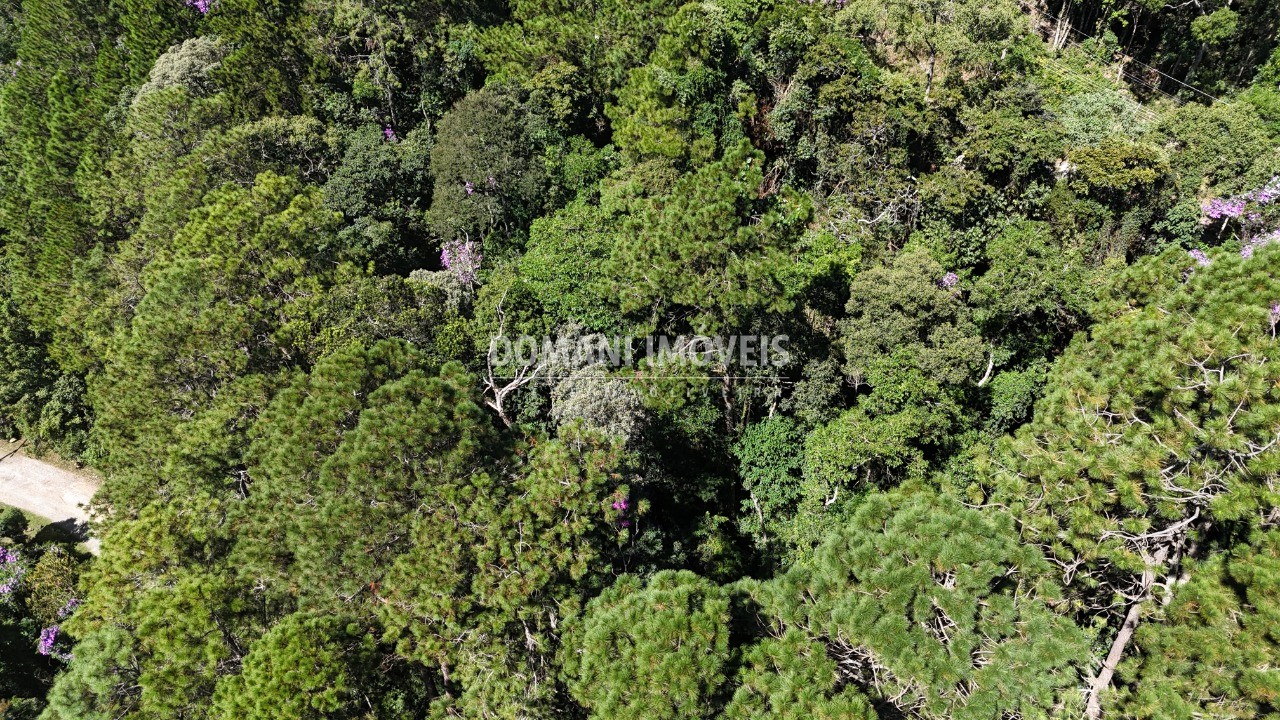 Terreno, 1200 m² - Foto 27