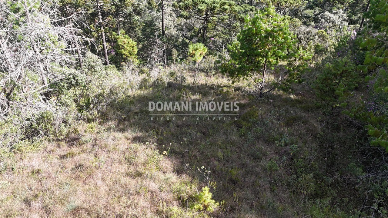 Terreno, 1185 m² - Foto 15
