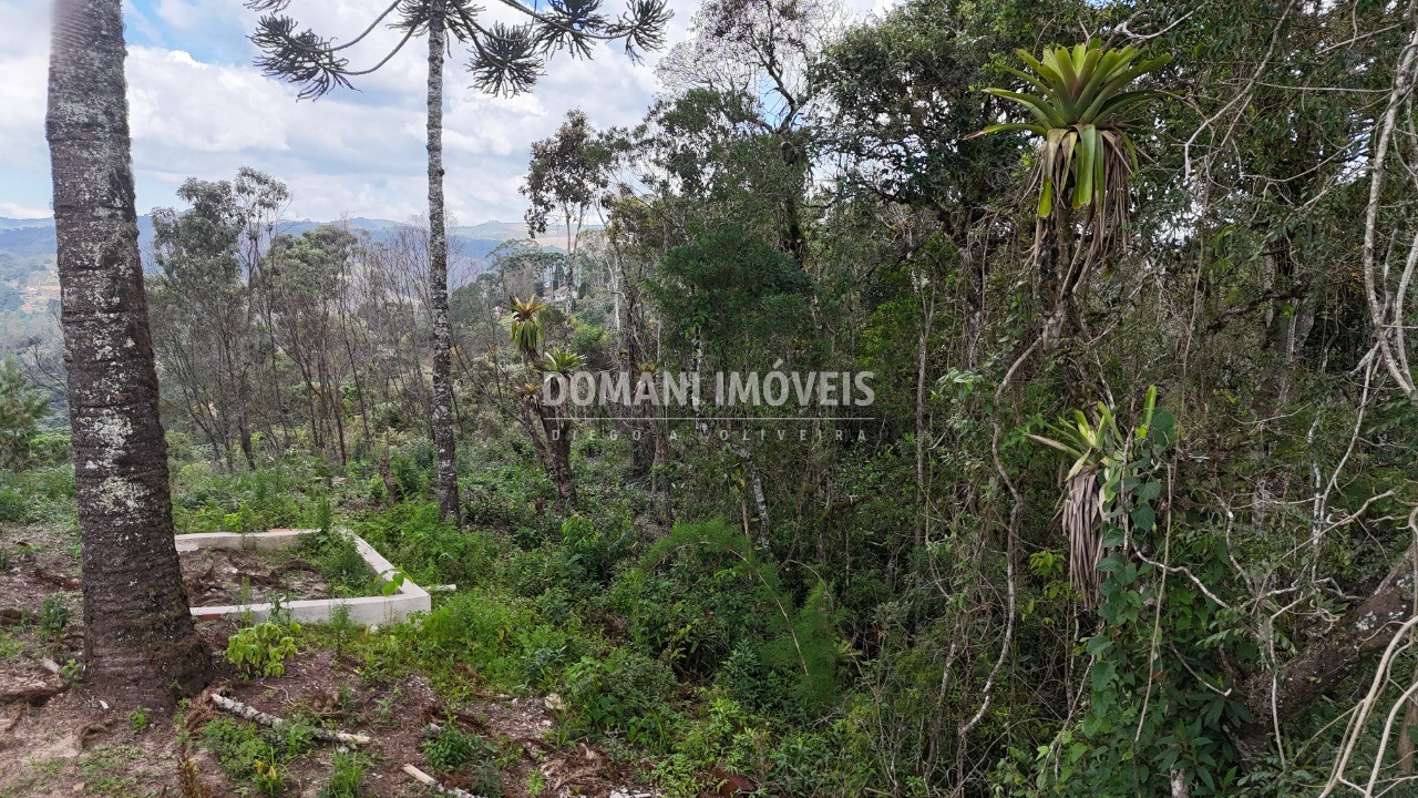 Terreno, 1180 m² - Foto 26