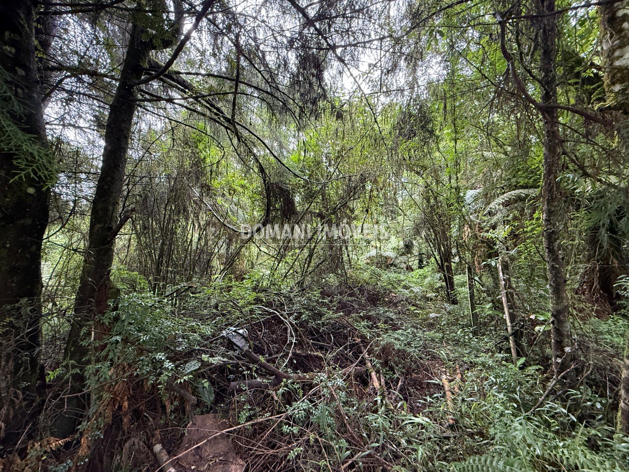 Terreno, 1140 m² - Foto 5