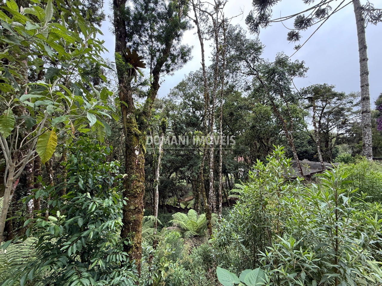Terreno, 1380 m² - Foto 5