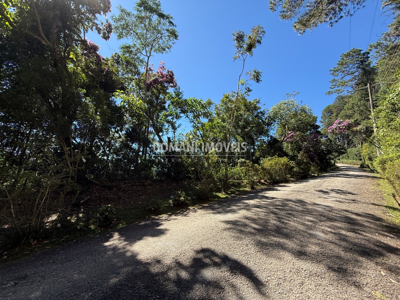 Terreno, 1030 m² - Foto 11