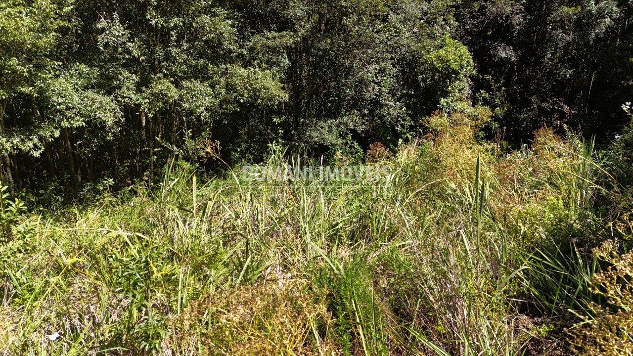 Terreno, 1120 m² - Foto 19