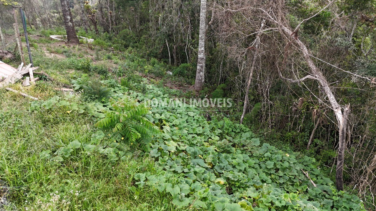 Terreno, 1180 m² - Foto 14