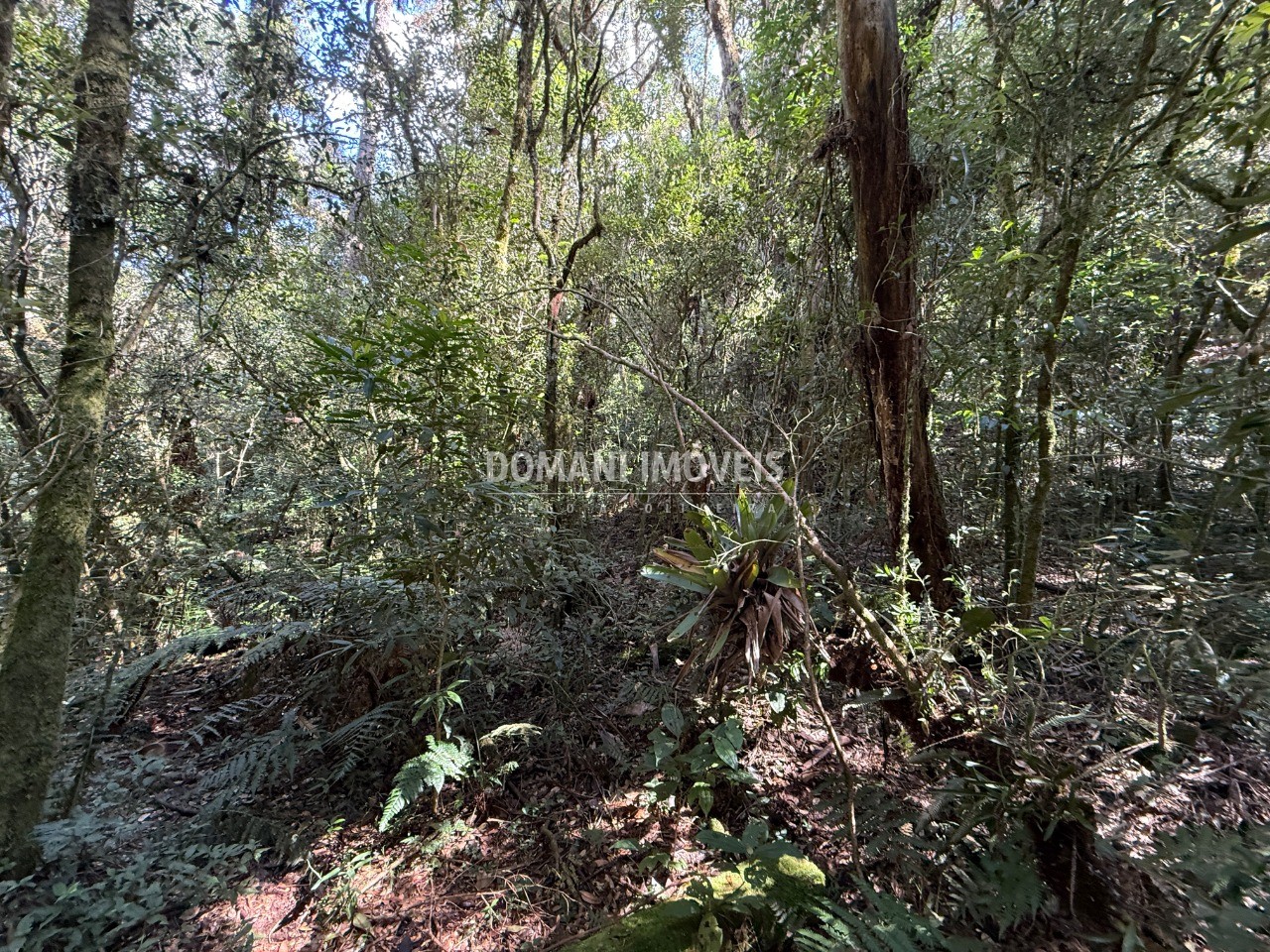 Terreno, 2500 m² - Foto 17