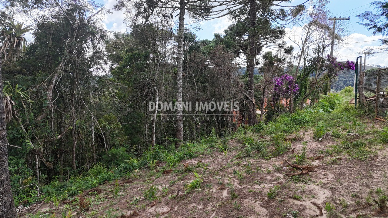 Terreno, 1180 m² - Foto 5