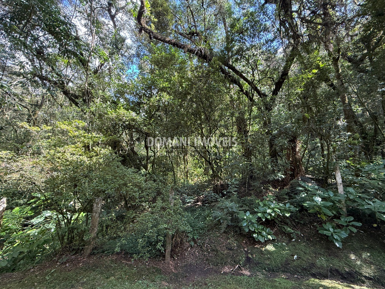 Terreno, 2500 m² - Foto 6