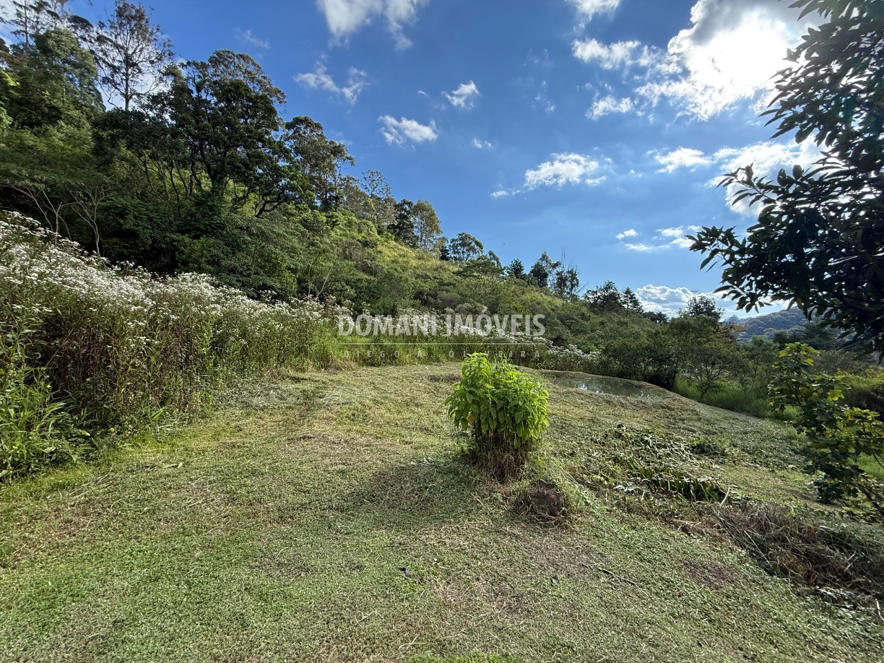 Terreno - Foto 17