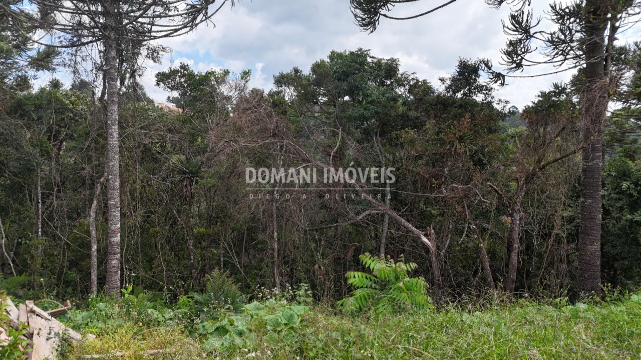 Terreno, 1180 m² - Foto 8
