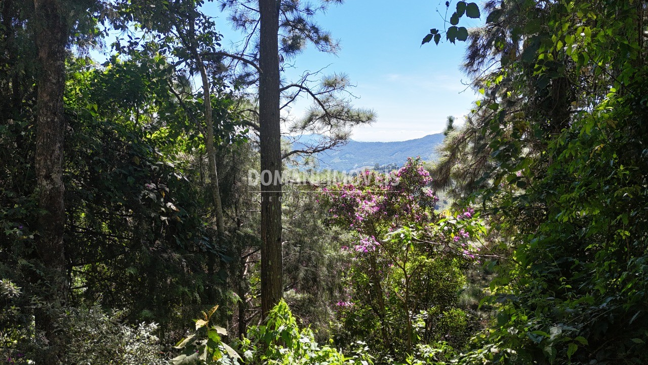 Terreno, 1030 m² - Foto 17