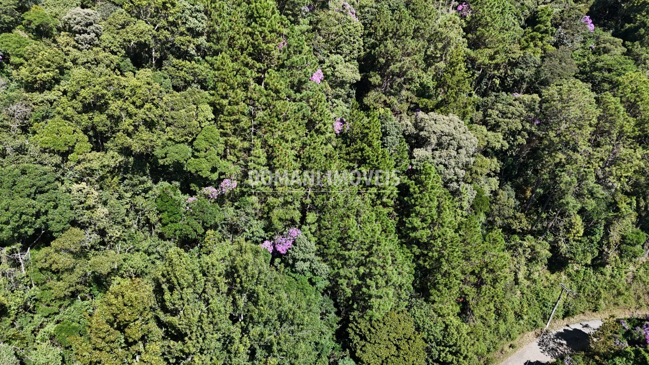 Terreno, 1030 m² - Foto 13