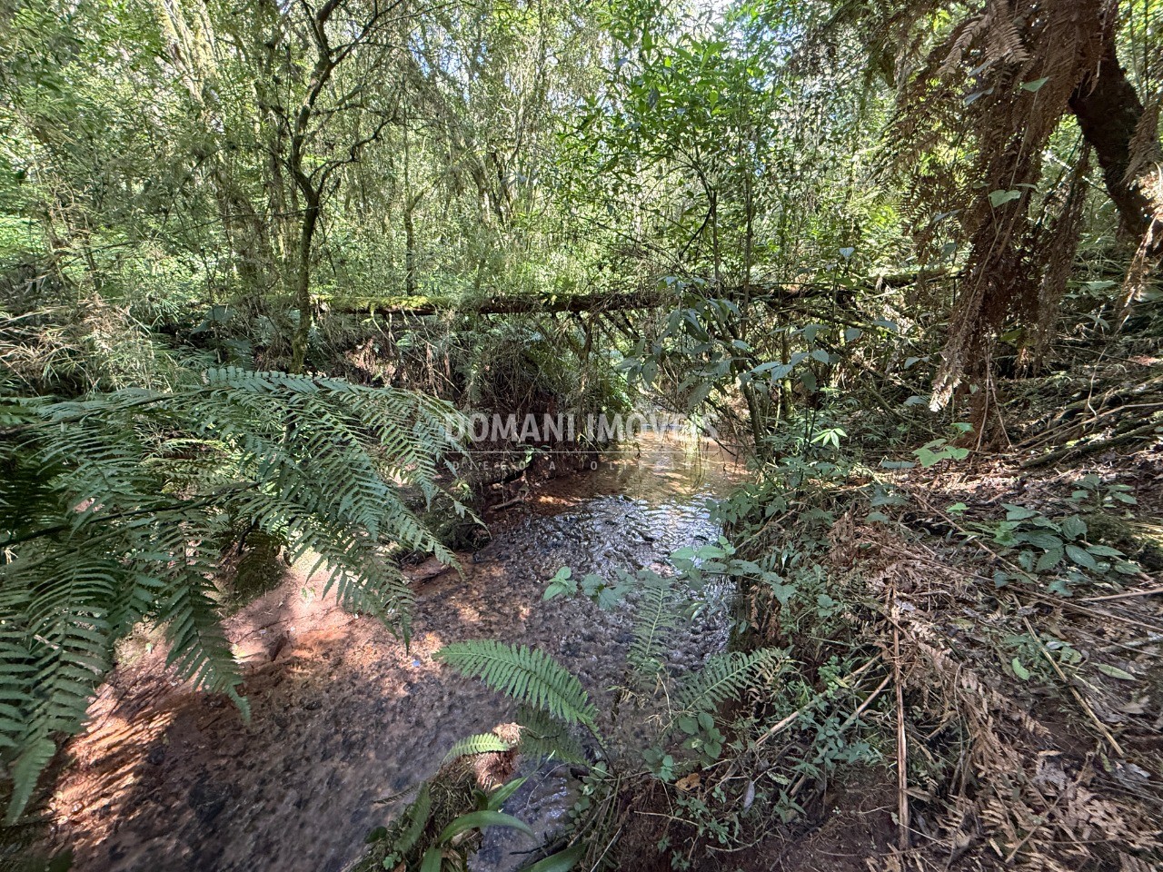 Terreno, 2500 m² - Foto 12