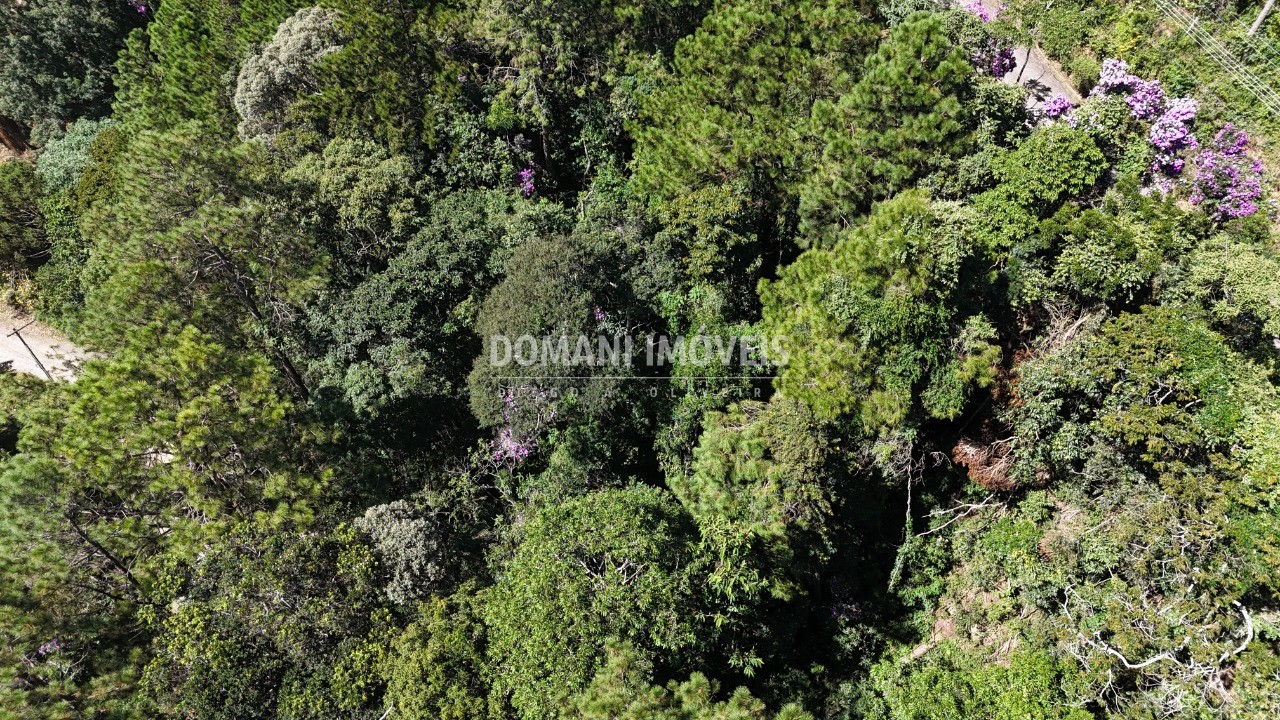 Terreno, 1200 m² - Foto 11