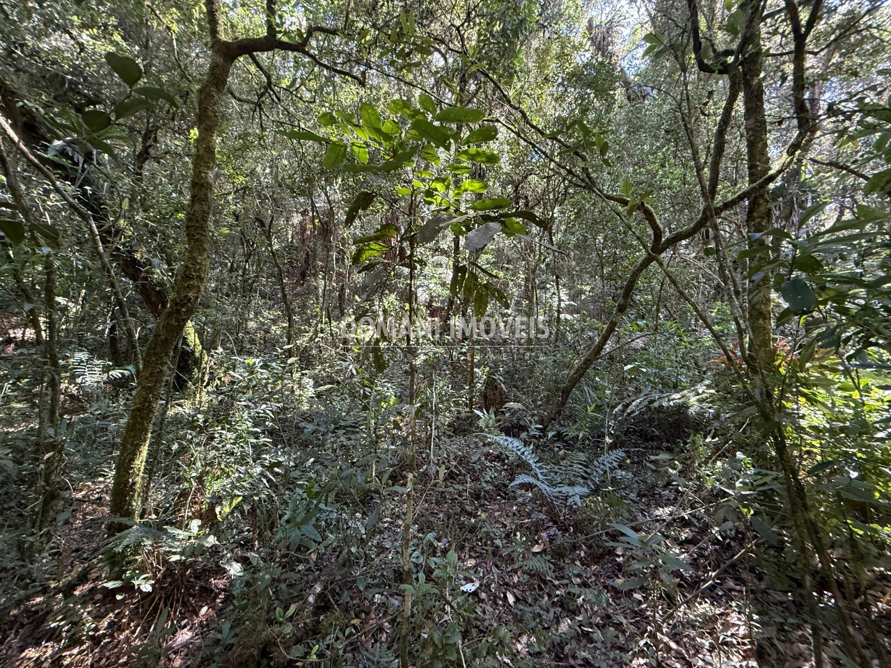 Terreno, 2500 m² - Foto 36