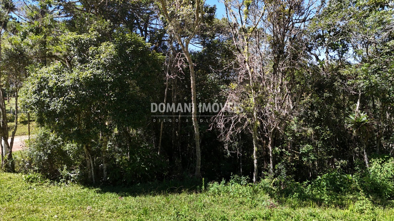Terreno, 1120 m² - Foto 6