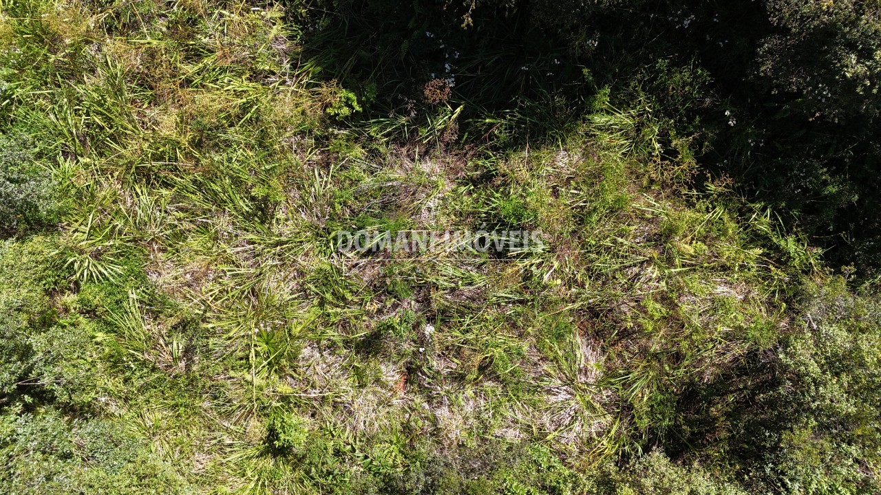 Terreno, 1120 m² - Foto 14