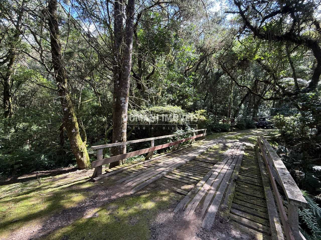 Terreno, 2500 m² - Foto 8
