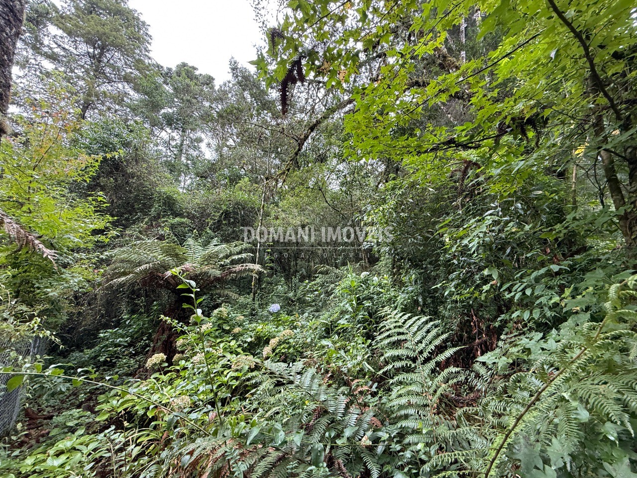 Terreno, 1140 m² - Foto 11