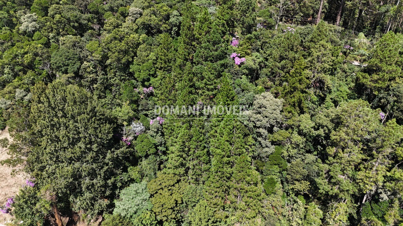 Terreno, 1030 m² - Foto 9