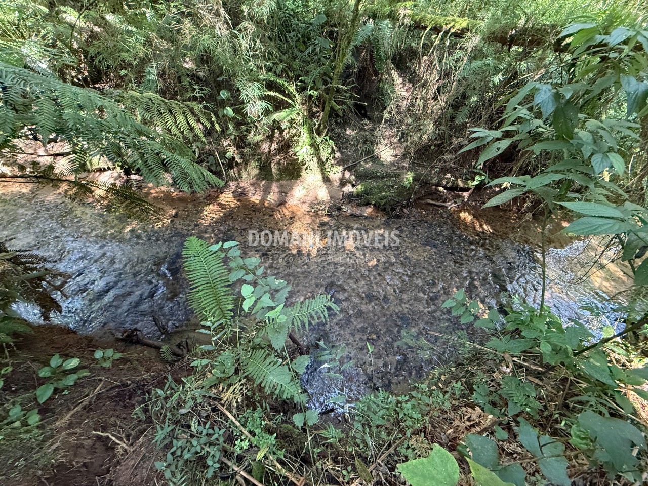 Terreno, 2500 m² - Foto 16