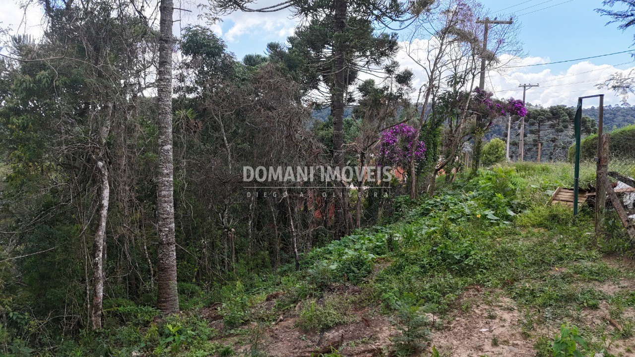 Terreno, 1180 m² - Foto 16