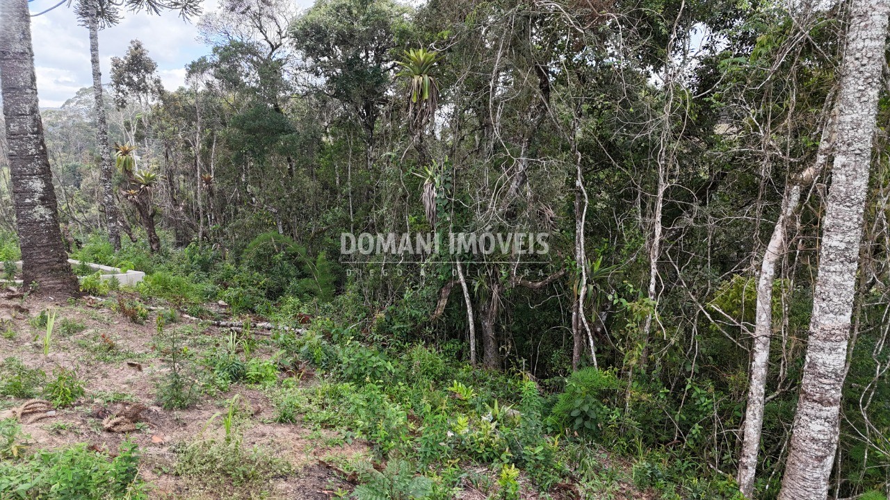 Terreno, 1180 m² - Foto 10