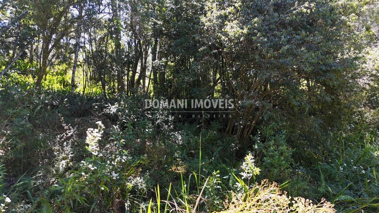 Terreno, 1120 m² - Foto 17