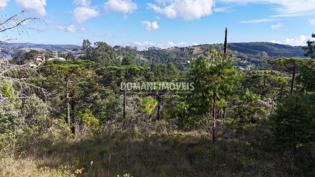 Terreno, 1185 m² - Foto 35