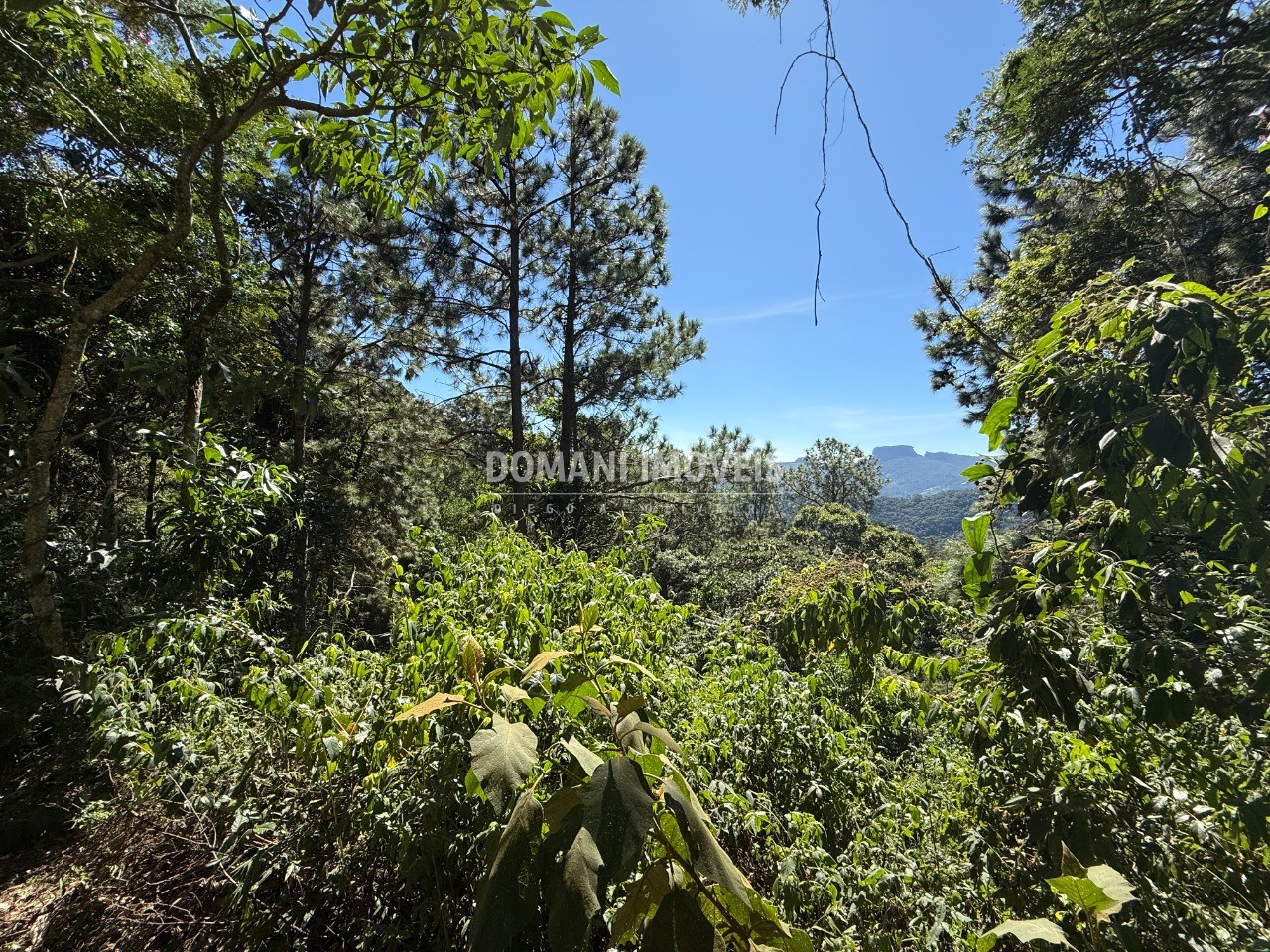 Terreno, 1200 m² - Foto 4