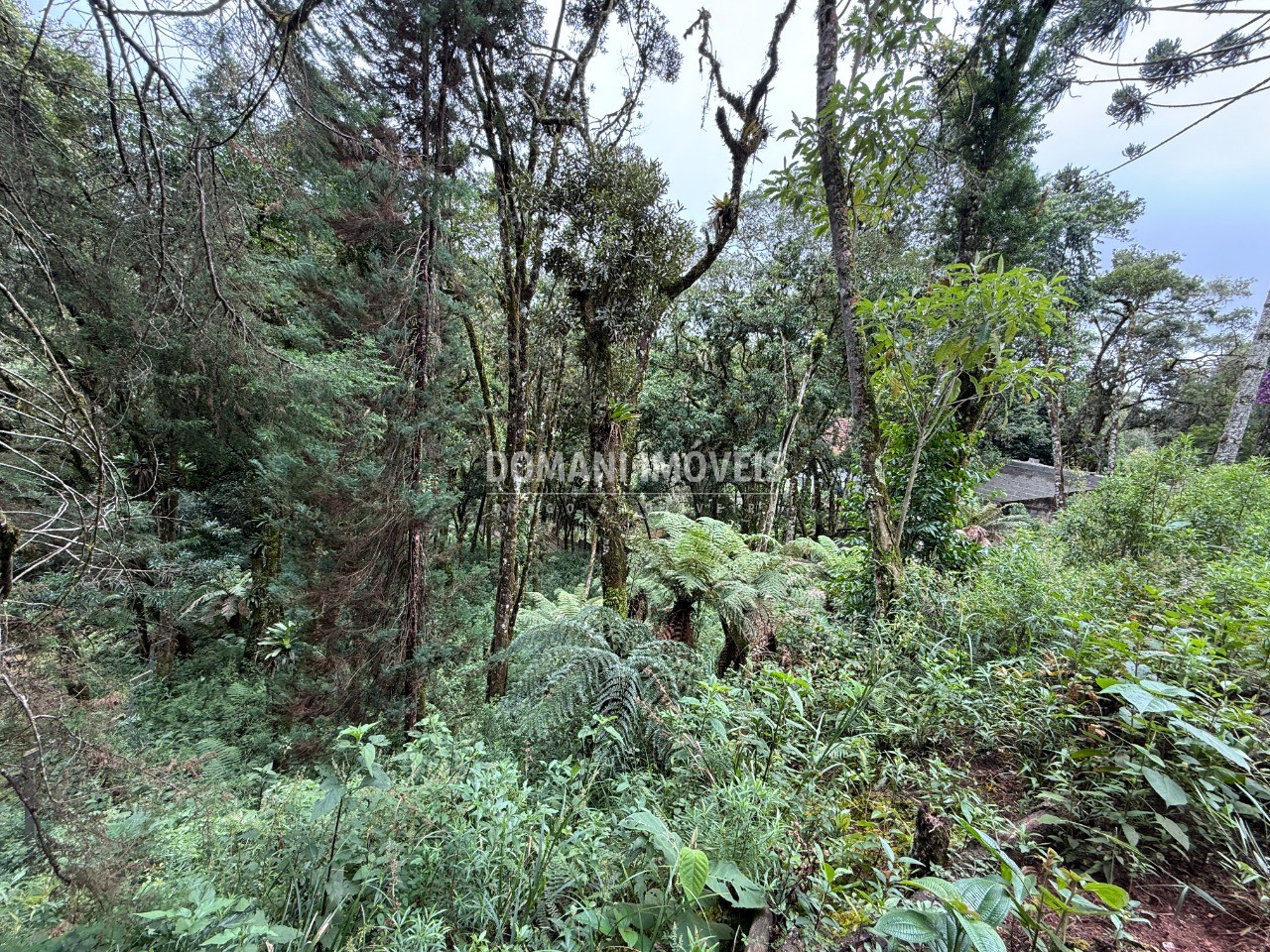 Terreno, 1380 m² - Foto 2