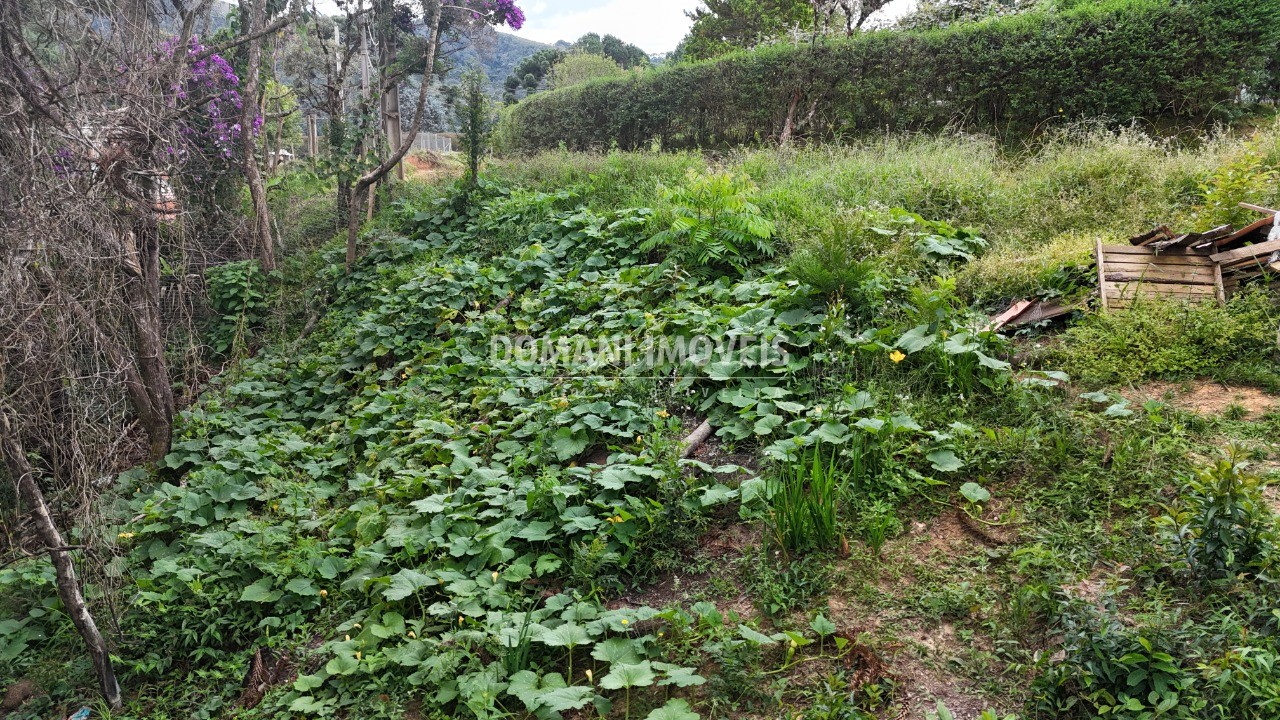 Terreno, 1180 m² - Foto 21